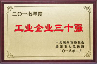 2017年工業企業三十強